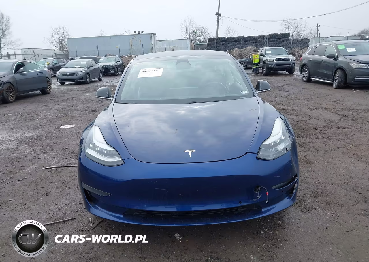2019 Tesla Model 3 VIN:5YJ3E1EA0KF416480 - 12