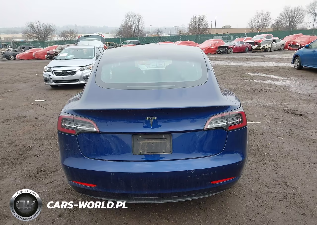 2019 Tesla Model 3 VIN:5YJ3E1EA0KF416480 - 16