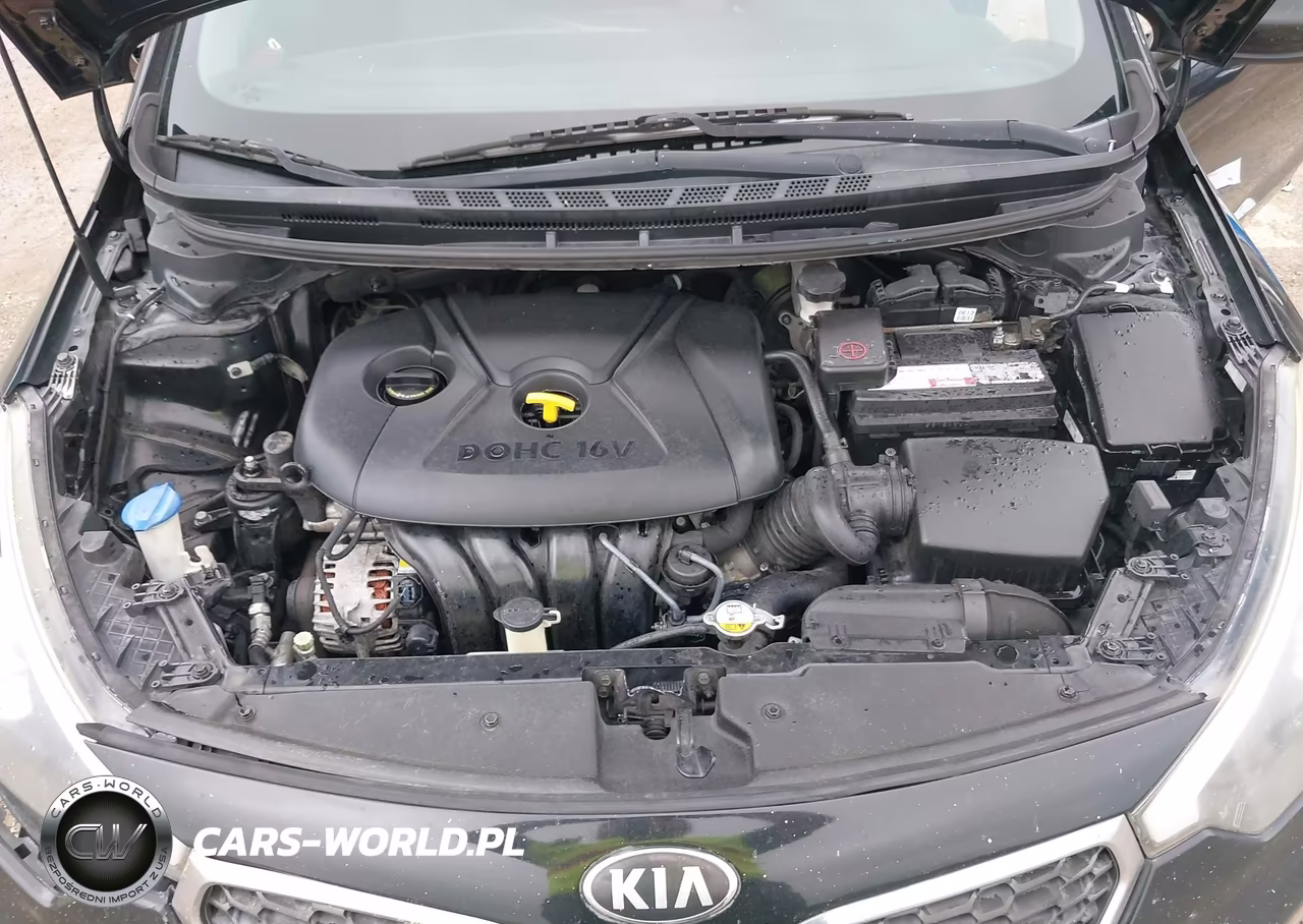 2015 Kia Forte Lx VIN:KNAFK4A64F5378961 - 10