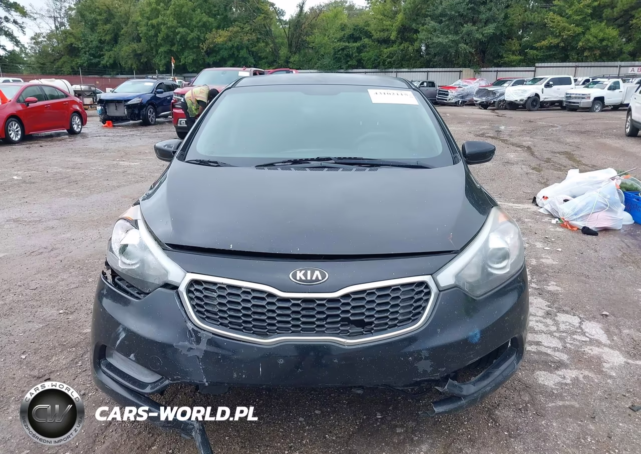 2015 Kia Forte Lx VIN:KNAFK4A64F5378961 - 12