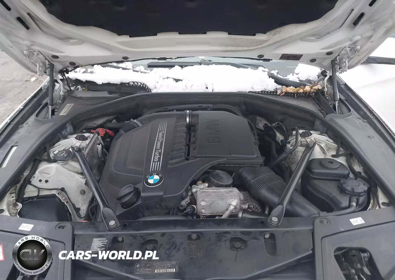 2013 BMW 535I xDrive VIN:WBAFU7C54DDU67979 - 10