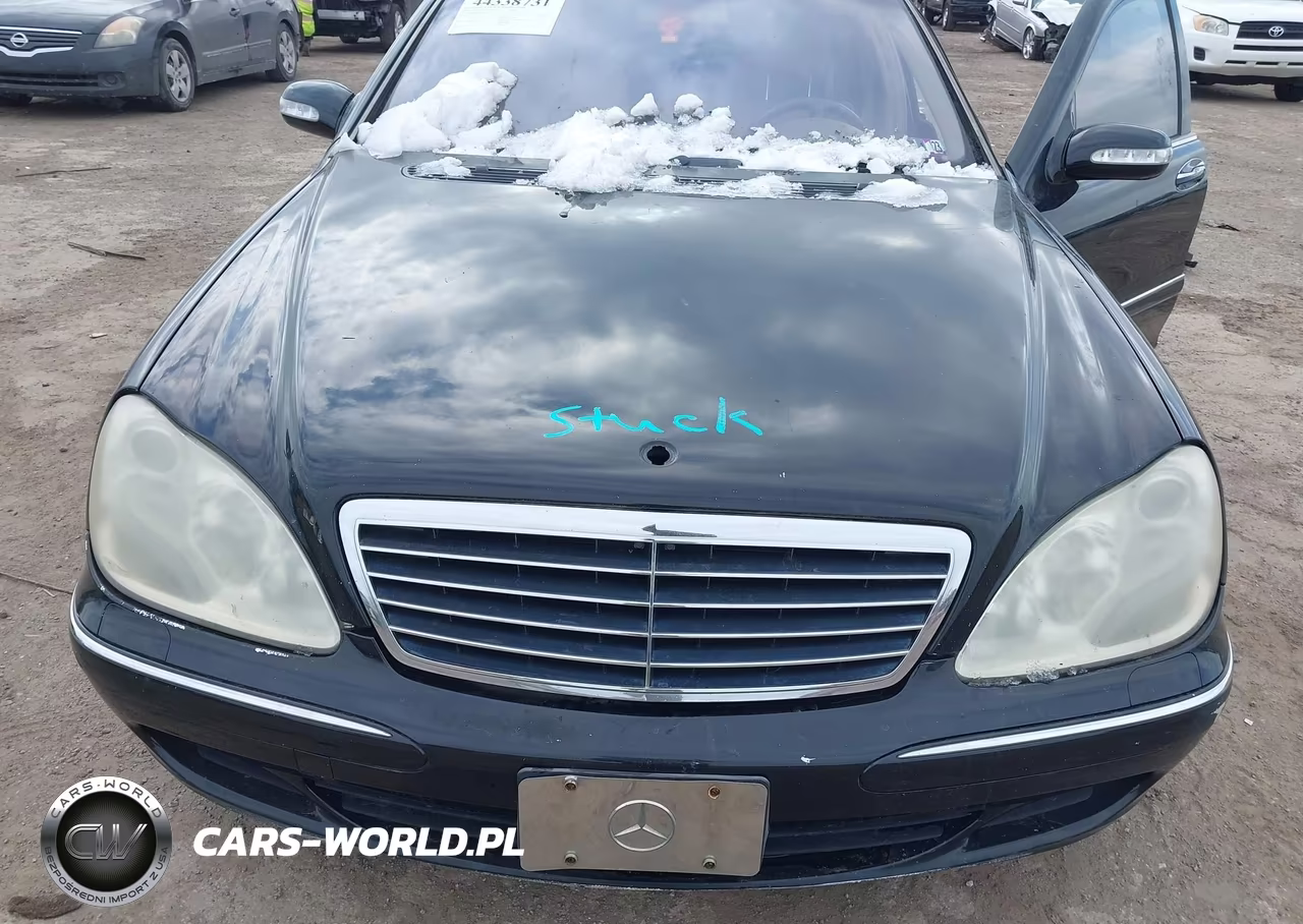 2003 Mercedes-Benz S 500 VIN:WDBNG84J03A336411 - 10