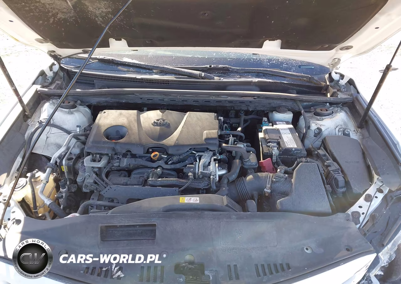 2019 Toyota Camry Se VIN:4T1B11HK9KU792805 - 10