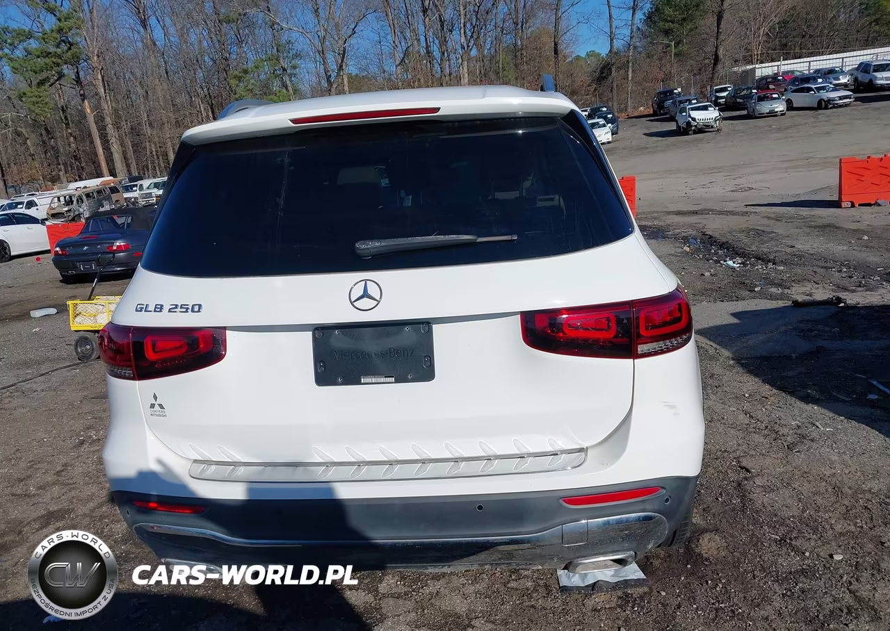 2020 Mercedes-Benz Glb 250 VIN:W1N4M4GB8LW048604 - 17