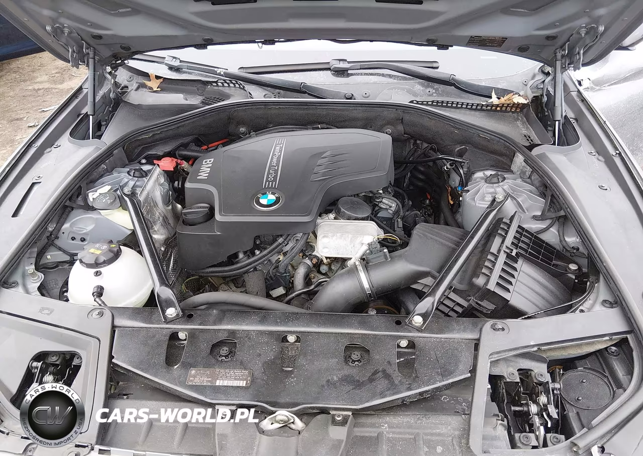 2014 BMW 528I xDrive VIN:WBA5A7C56ED612073 - 10