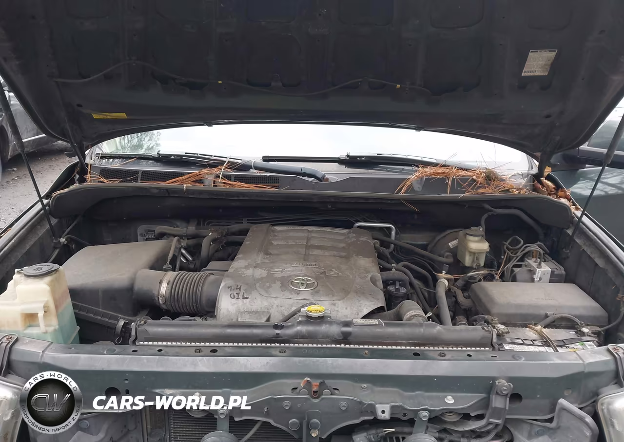 2008 Toyota Sequoia Sr5 5.7L V8 VIN:5TDZY64A98S010024 - 10