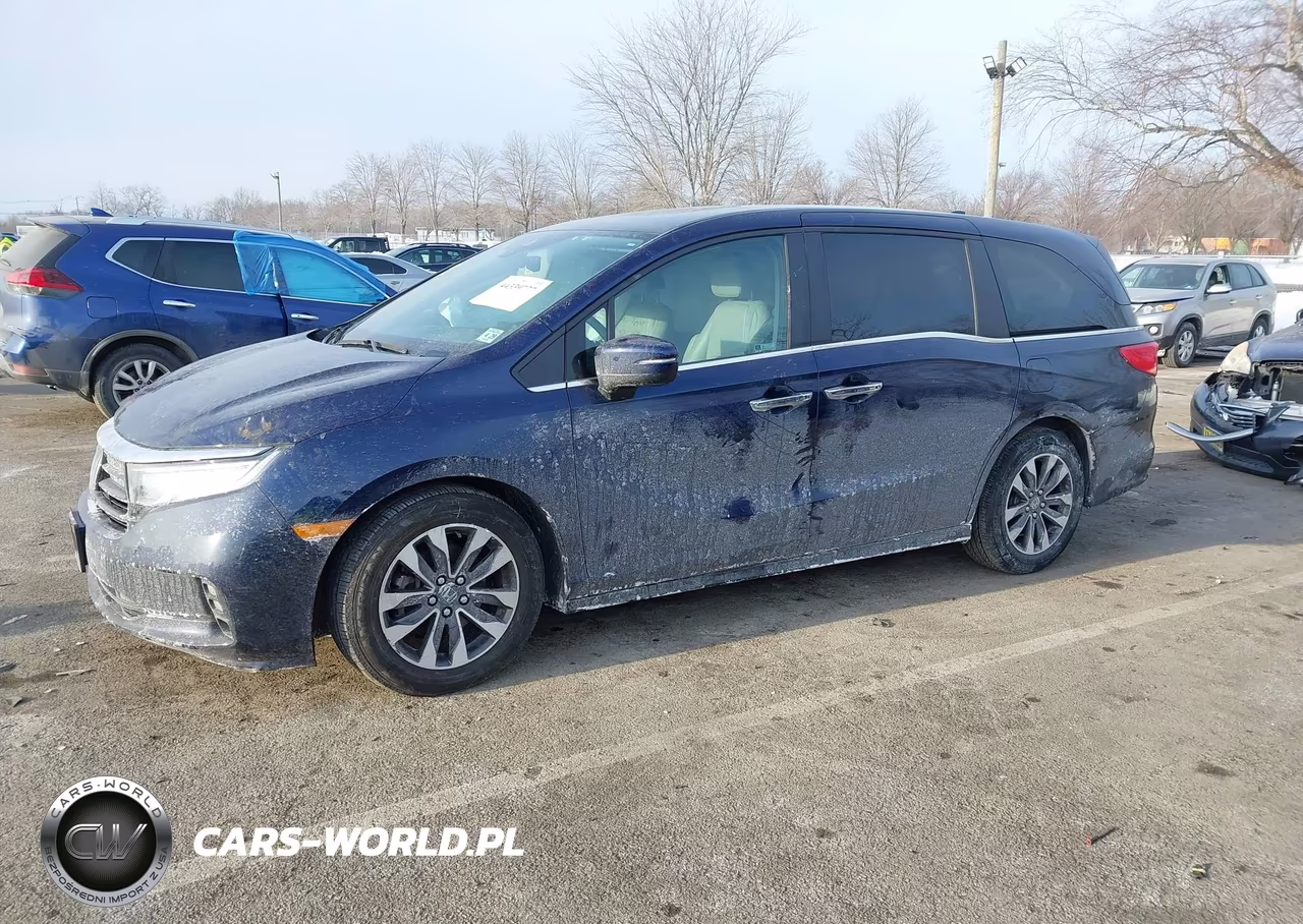 2024 Honda Odyssey Ex-L VIN:5FNRL6H62RB050147 - 2
