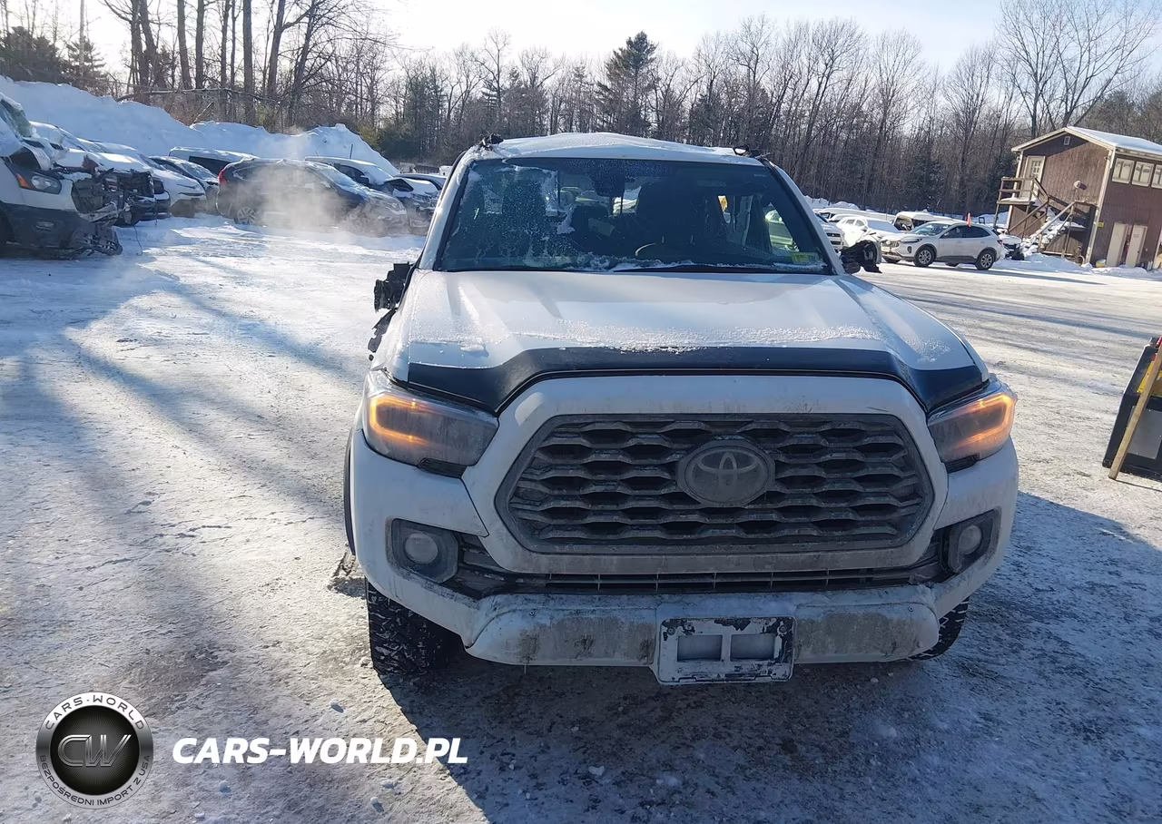 2023 Toyota Tacoma Trd Off Road VIN:3TYDZ5BN8PT020859 - 12