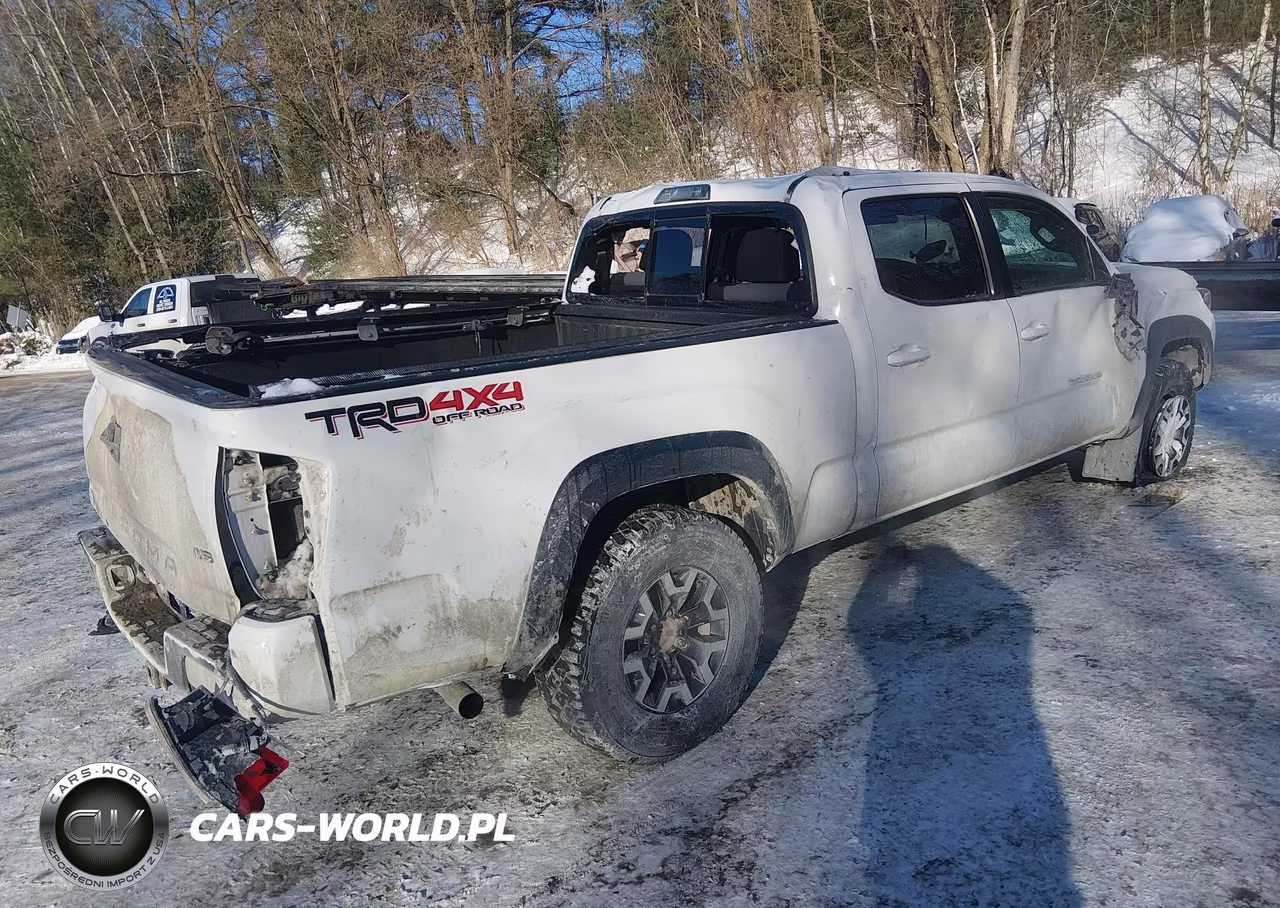 2023 Toyota Tacoma Trd Off Road VIN:3TYDZ5BN8PT020859 - 4