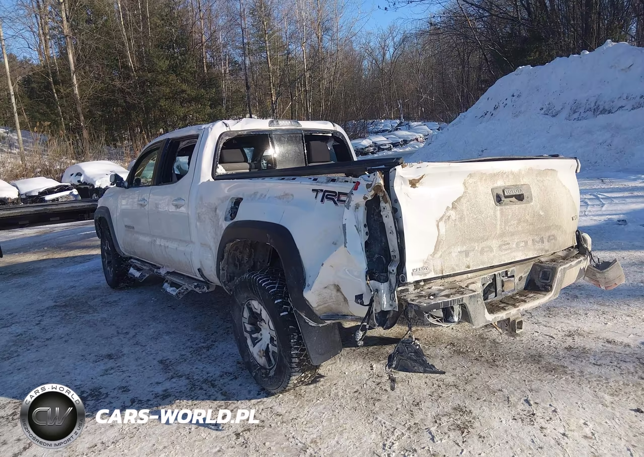 2023 Toyota Tacoma Trd Off Road VIN:3TYDZ5BN8PT020859 - 6