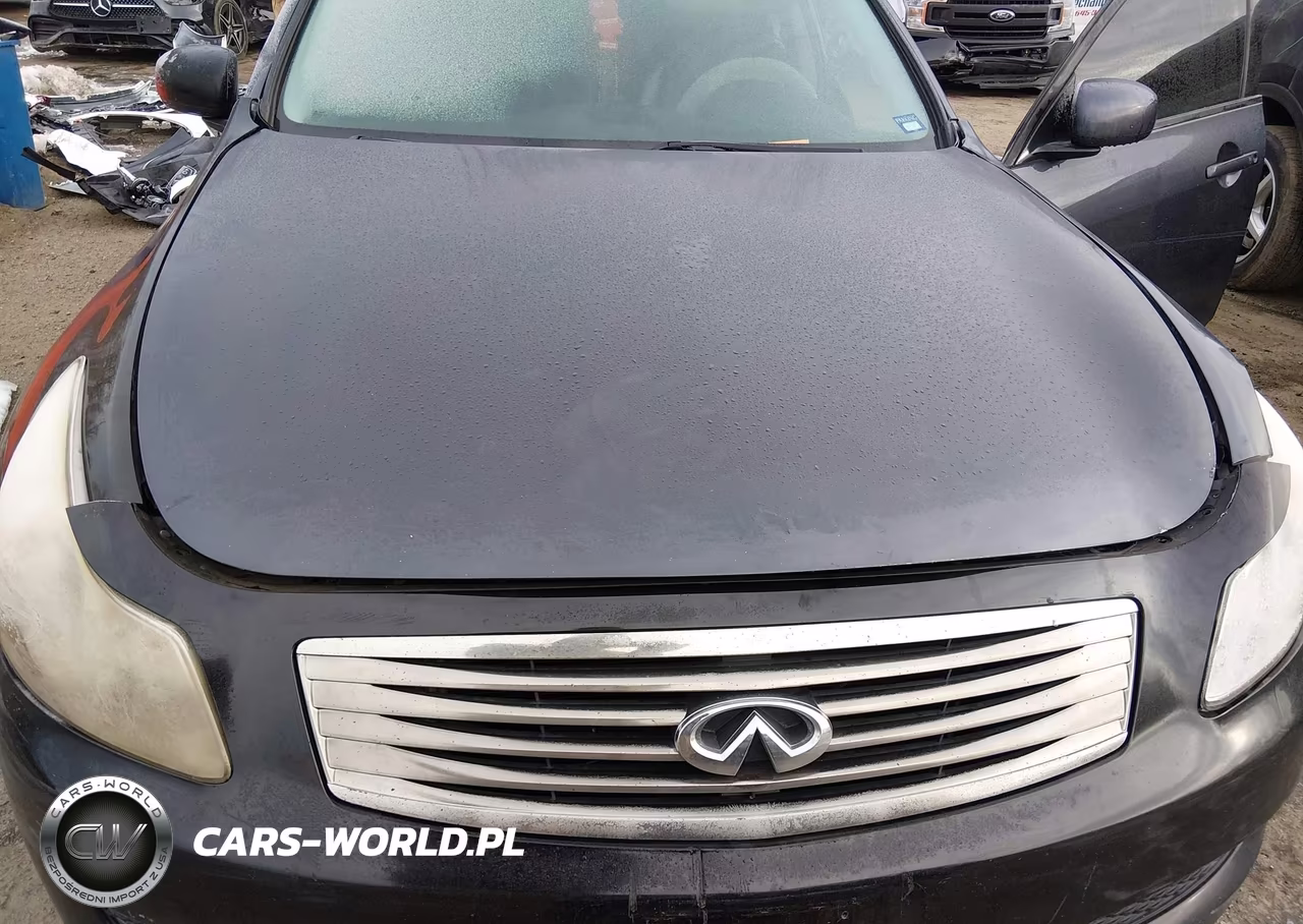 2008 Infiniti G35 Journey VIN:JNKBV61E08M212049 - 10
