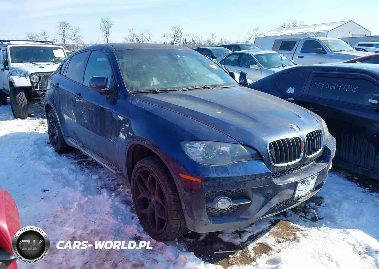 2010 BMW X6 xDrive35I