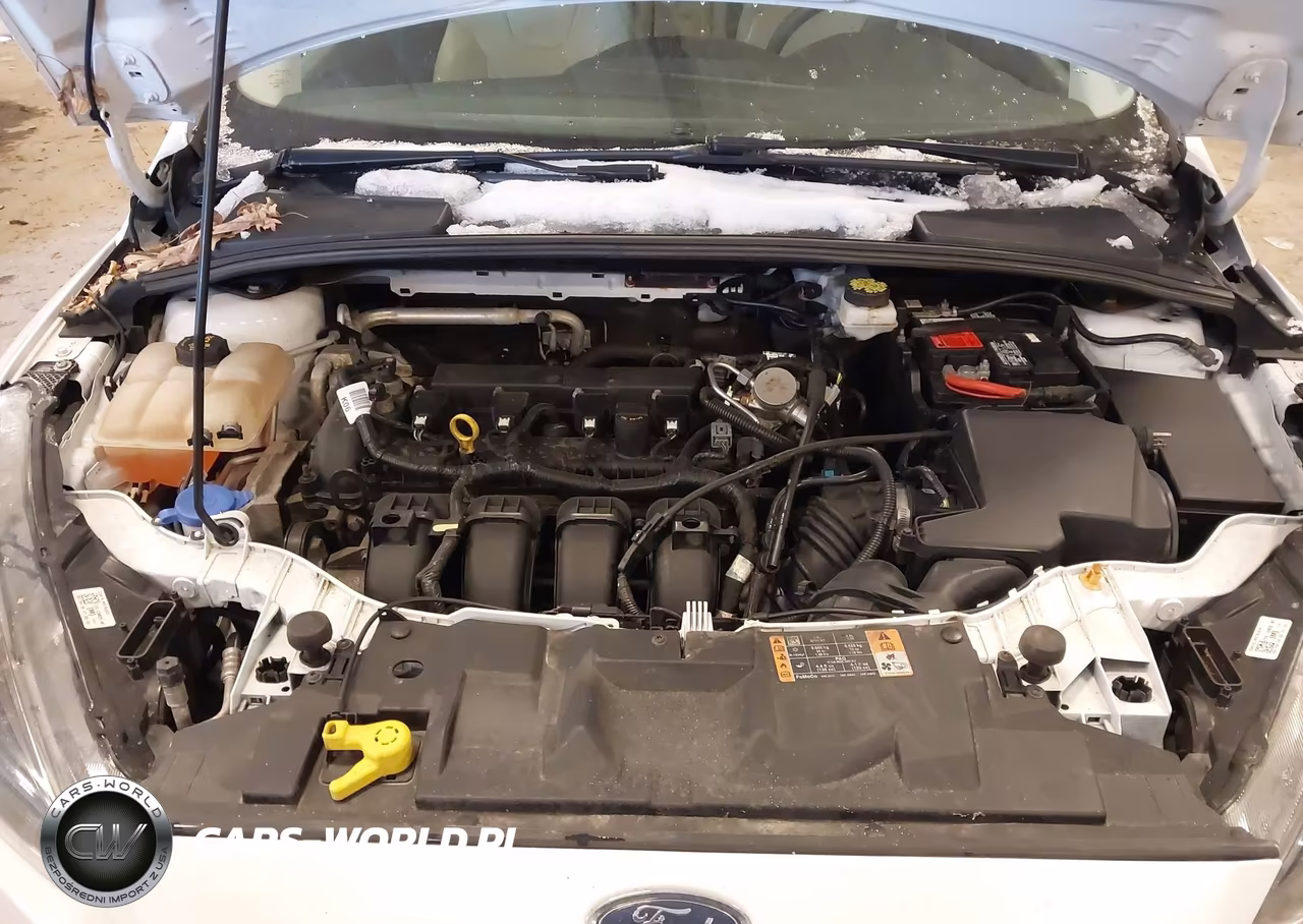 2018 Ford Focus Sel VIN:1FADP3M2XJL263161 - 10