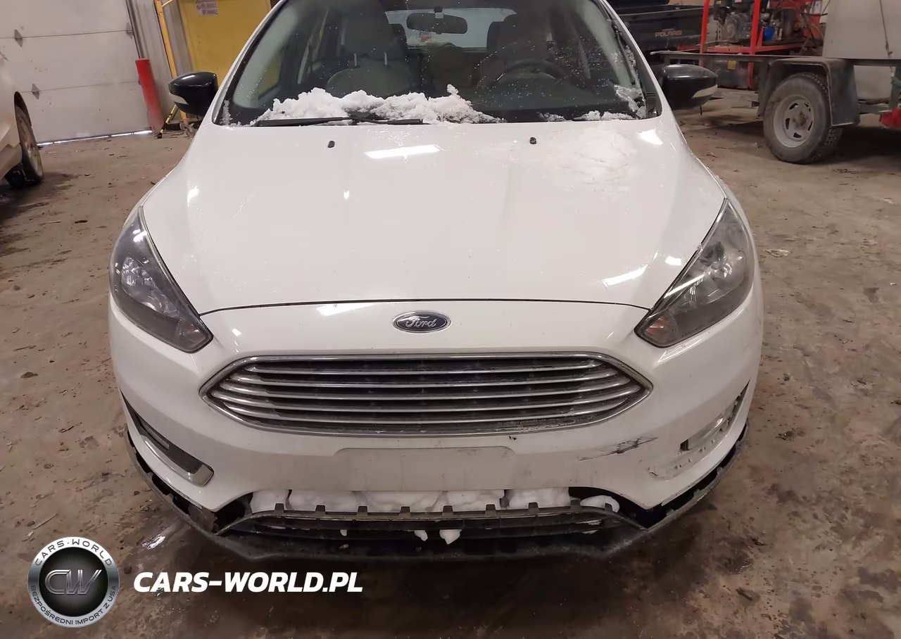 2018 Ford Focus Sel VIN:1FADP3M2XJL263161 - 12
