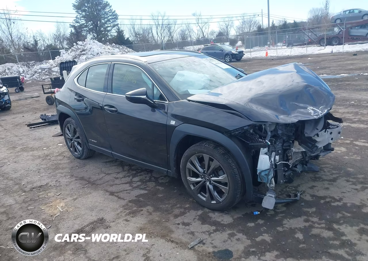 2020 Lexus Ux 250H F Sport