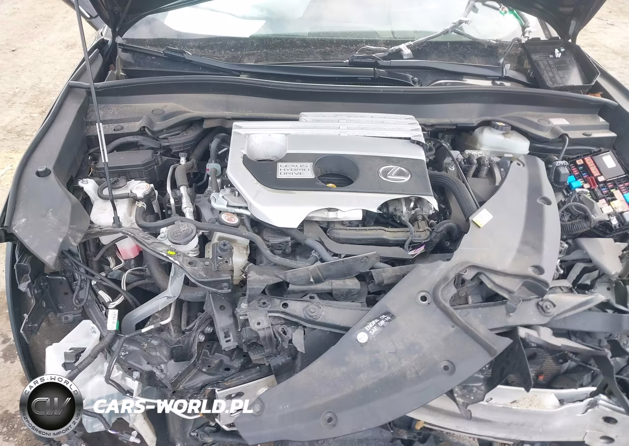 2020 Lexus Ux 250H F Sport VIN:JTHR9JBH3L2032003 - 10