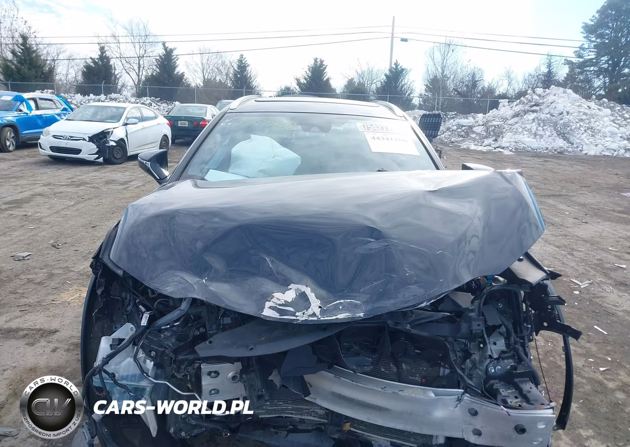 2020 Lexus Ux 250H F Sport VIN:JTHR9JBH3L2032003 - 13