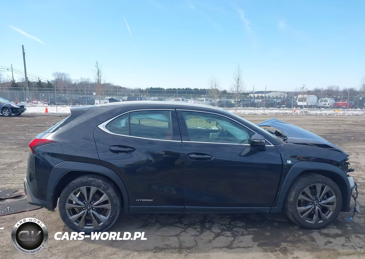 2020 Lexus Ux 250H F Sport VIN:JTHR9JBH3L2032003 - 14