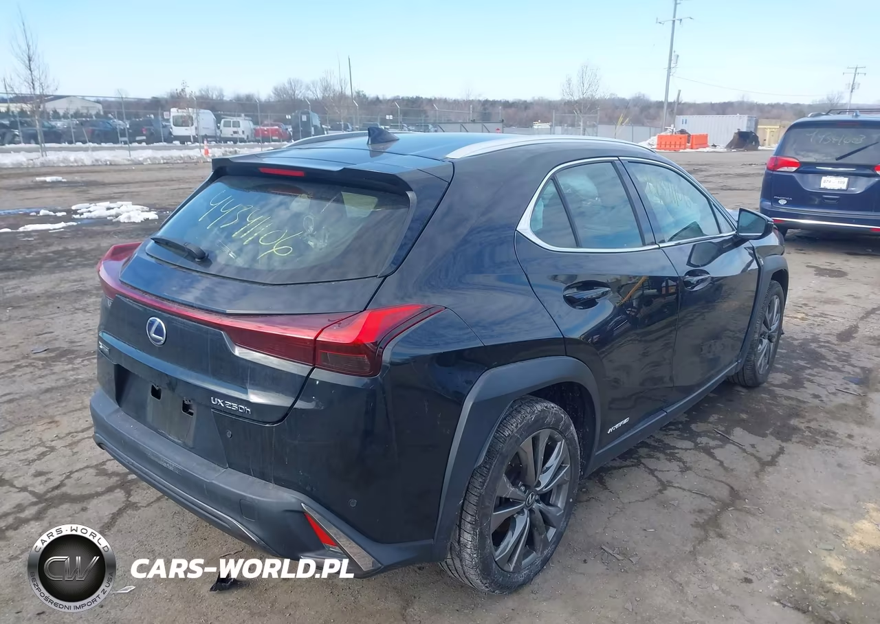 2020 Lexus Ux 250H F Sport VIN:JTHR9JBH3L2032003 - 4