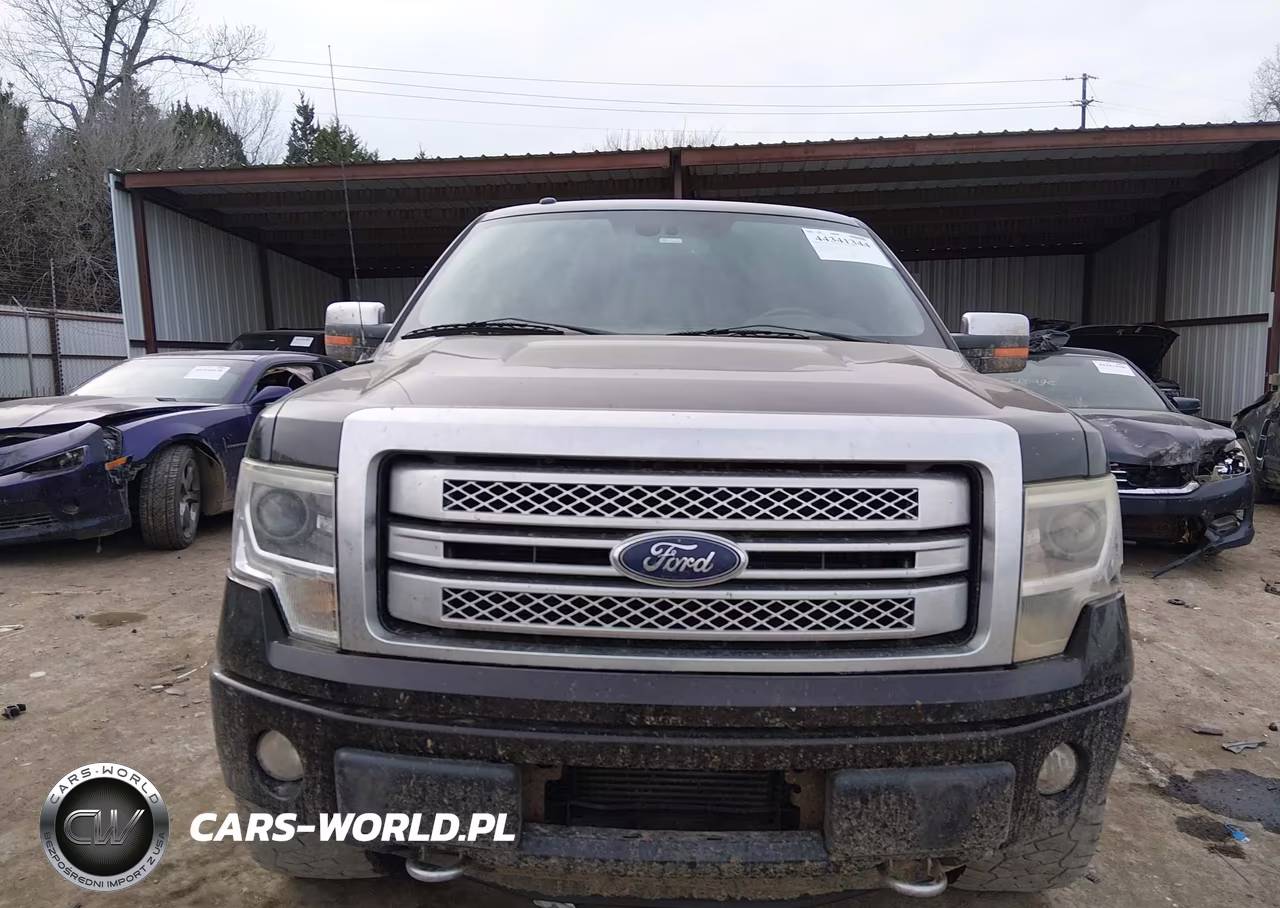 2013 Ford F-150 Platinum VIN:1FTFW1ET8DFA90986 - 12