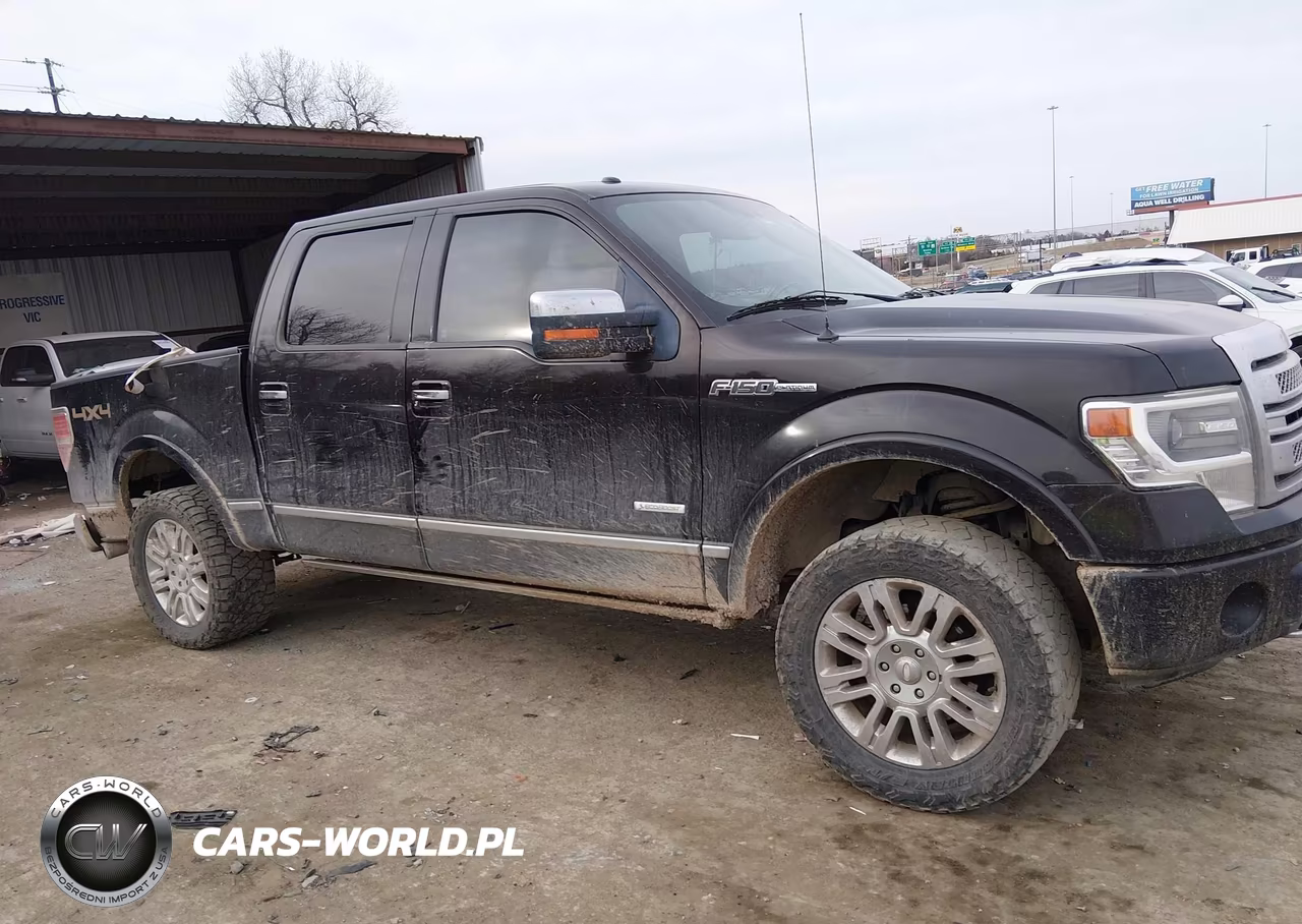 2013 Ford F-150 Platinum VIN:1FTFW1ET8DFA90986 - 13