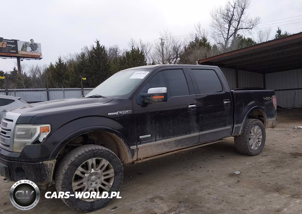 2013 Ford F-150 Platinum VIN:1FTFW1ET8DFA90986 - 14