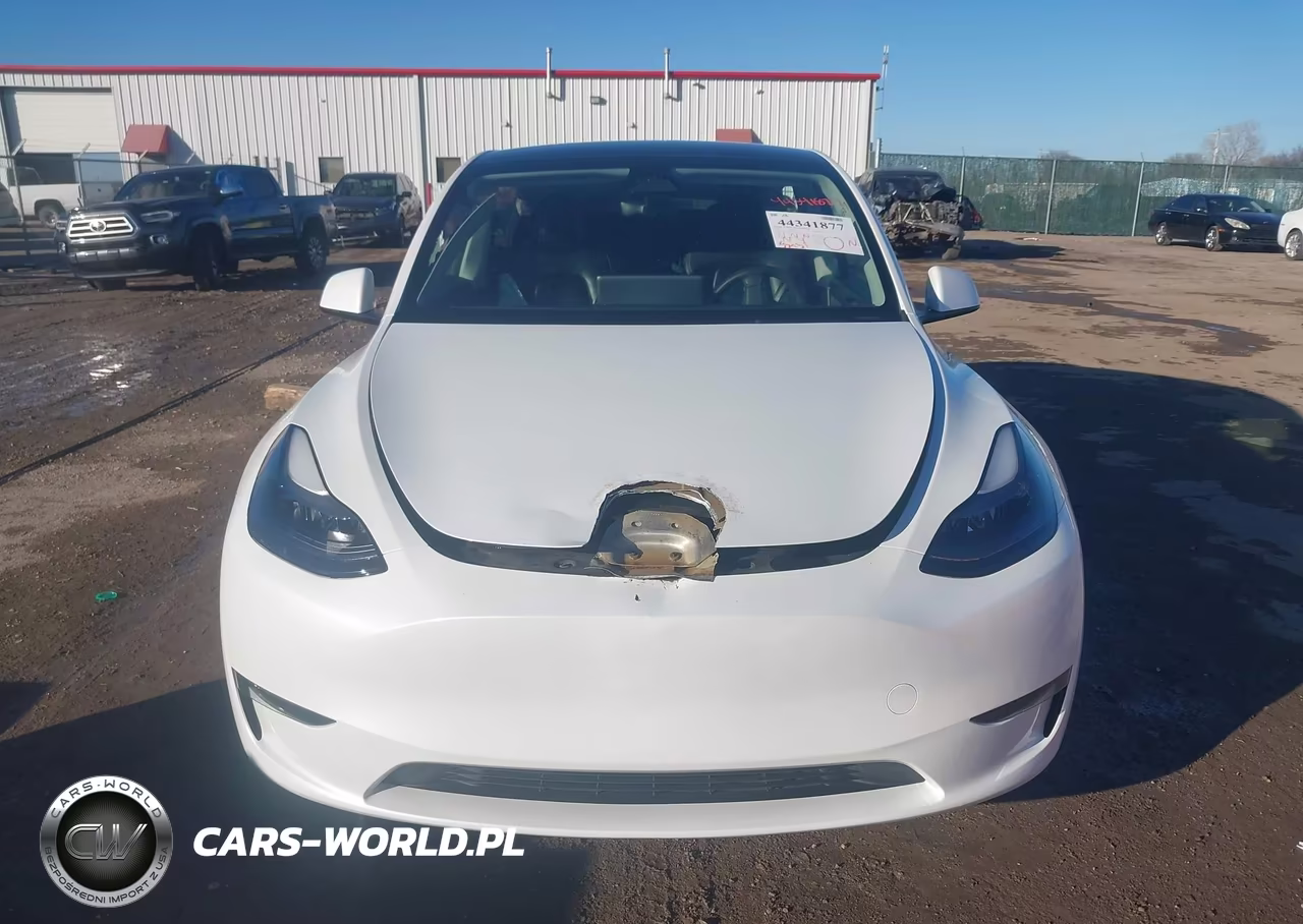 2023 Tesla Model Y Awd-Long Range Dual Motor All-Wheel Drive VIN:7SAYGDEE7PF763237 - 12