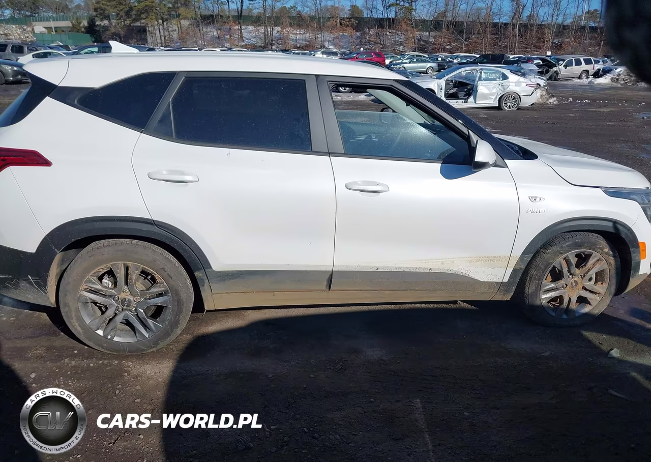 2023 Kia Seltos Lx VIN:KNDEPCAA2P7431161 - 13