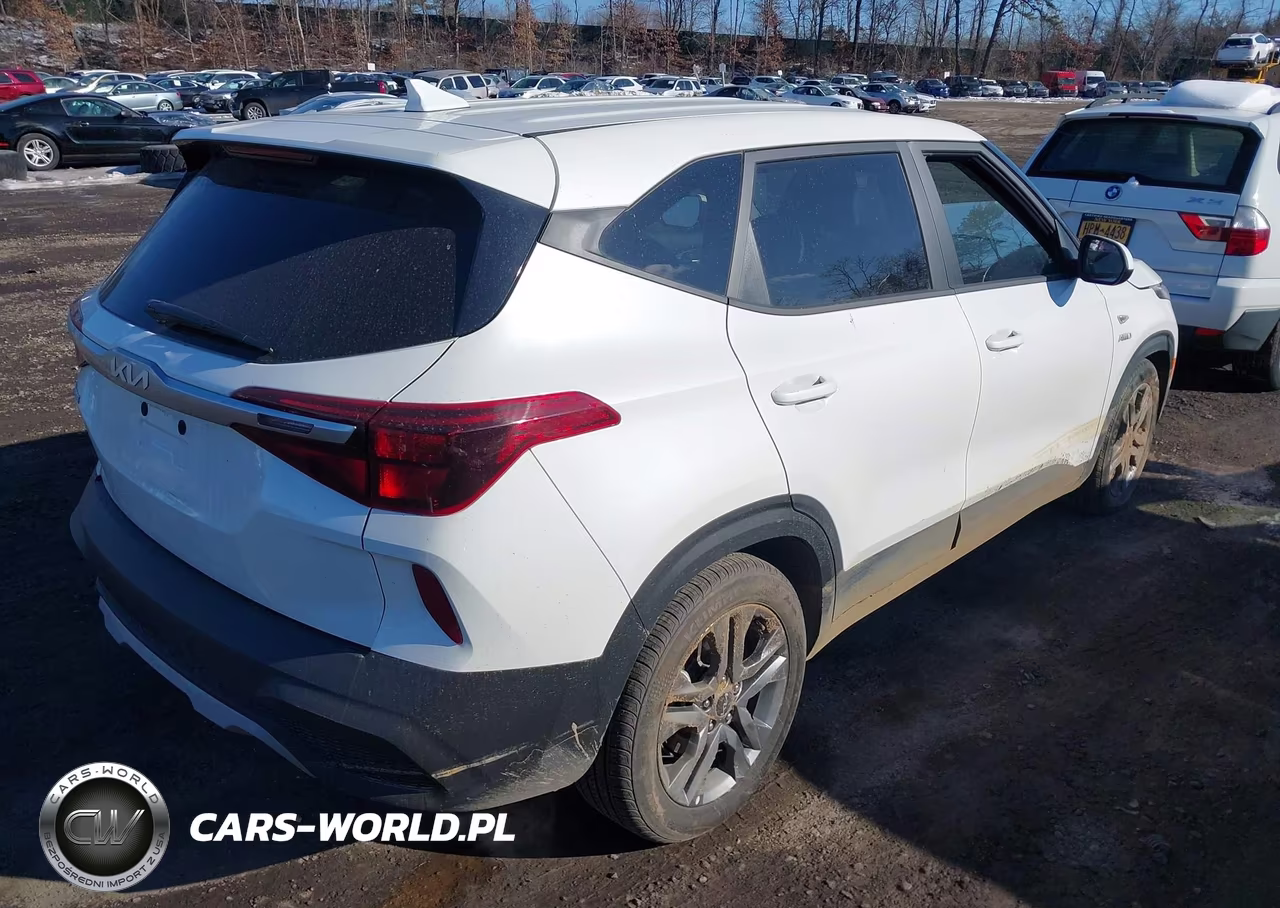 2023 Kia Seltos Lx VIN:KNDEPCAA2P7431161 - 4