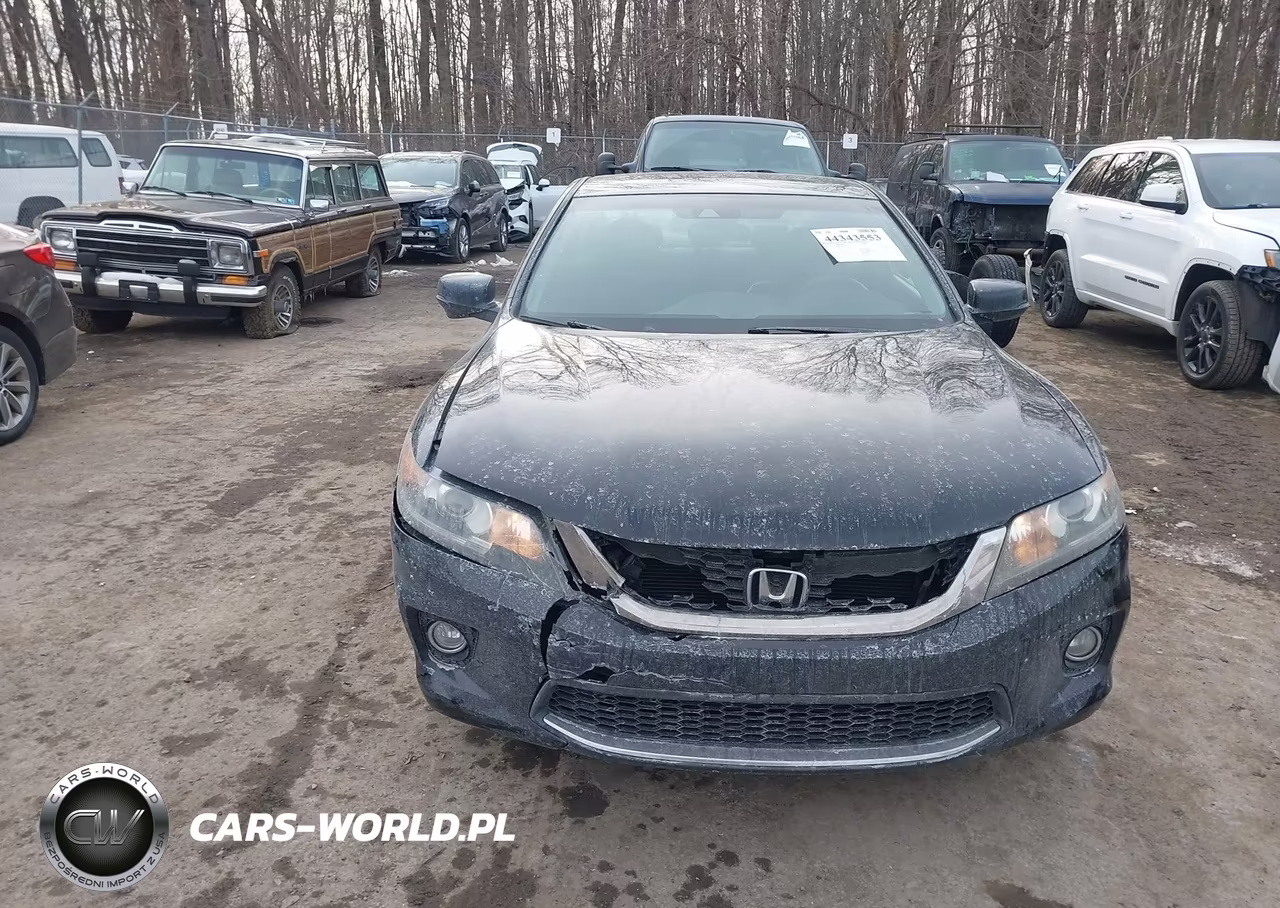 2013 Honda Accord Ex-L VIN:1HGCT1B80DA007755 - 12