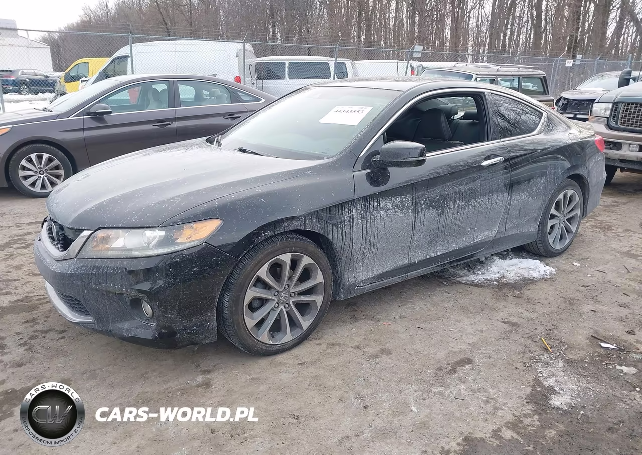2013 Honda Accord Ex-L VIN:1HGCT1B80DA007755 - 2