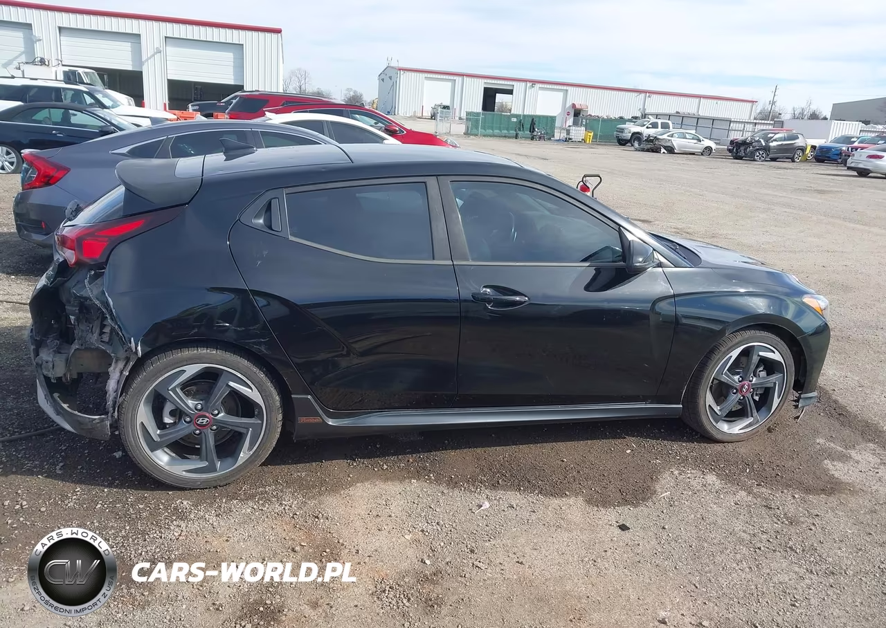 2019 Hyundai Veloster Turbo VIN:KMHTH6AB0KU009409 - 13