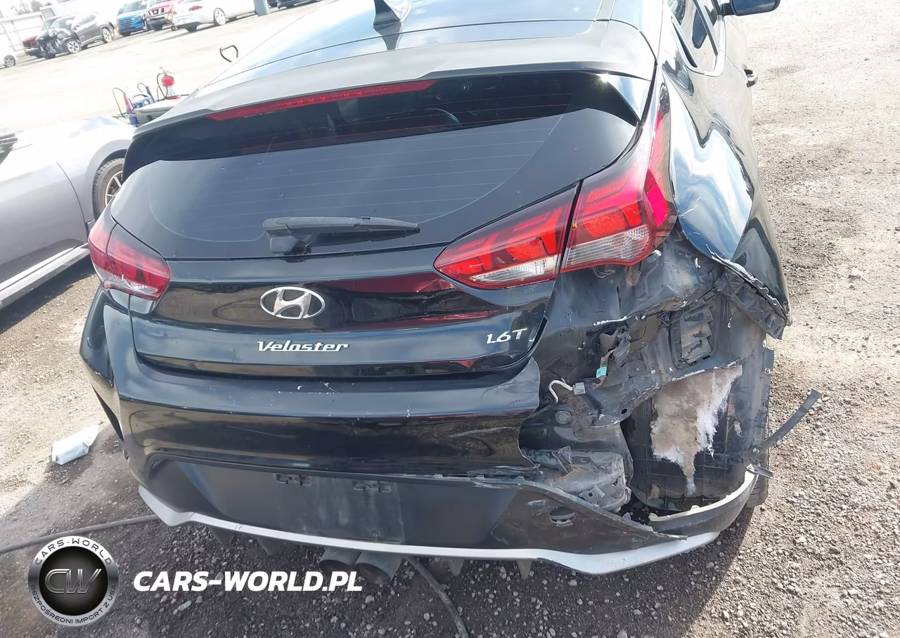 2019 Hyundai Veloster Turbo VIN:KMHTH6AB0KU009409 - 16