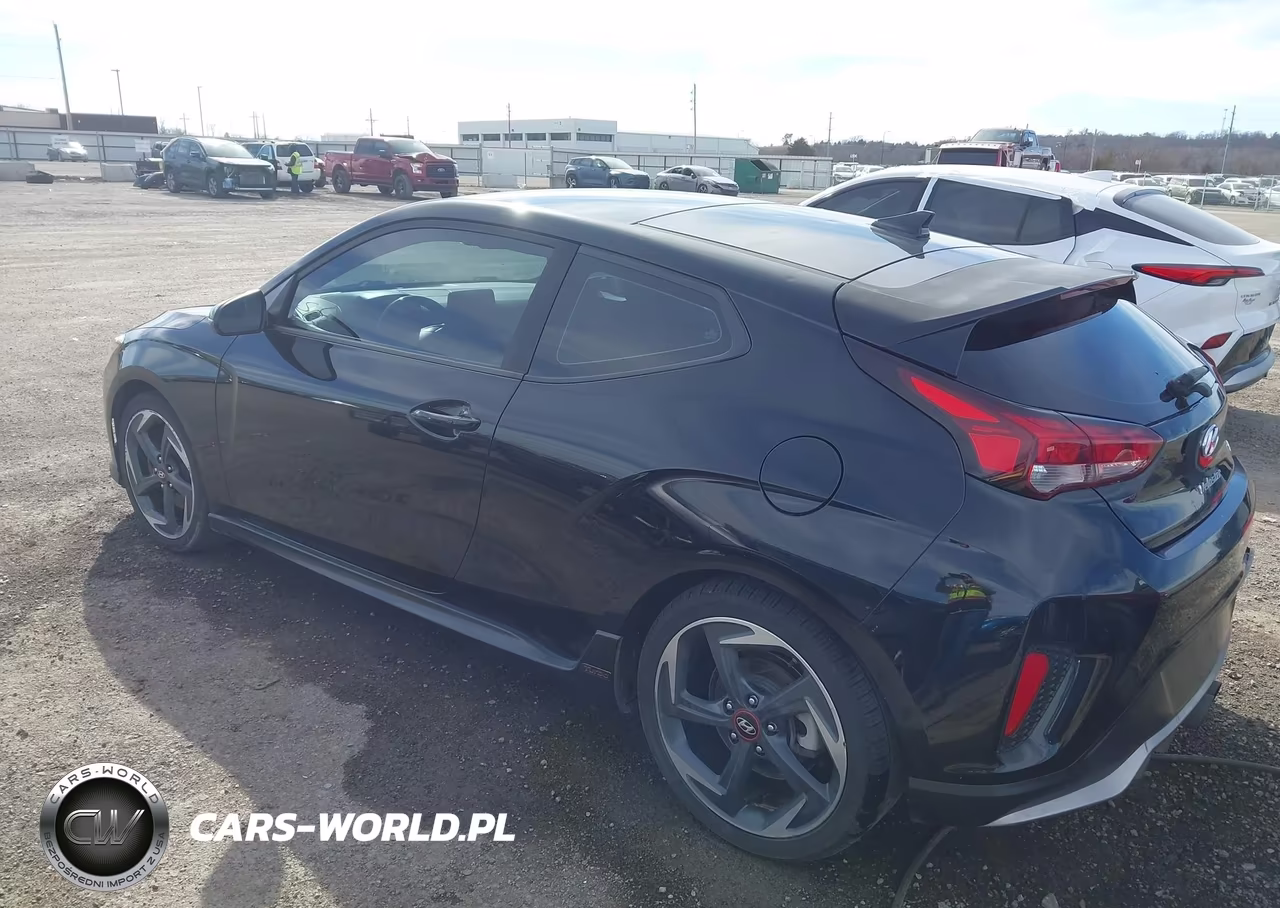 2019 Hyundai Veloster Turbo VIN:KMHTH6AB0KU009409 - 3