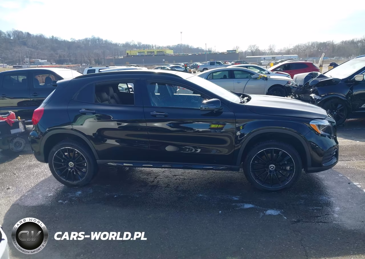 2020 Mercedes-Benz Gla 250 4Matic VIN:W1NTG4GB2LJ700052 - 13
