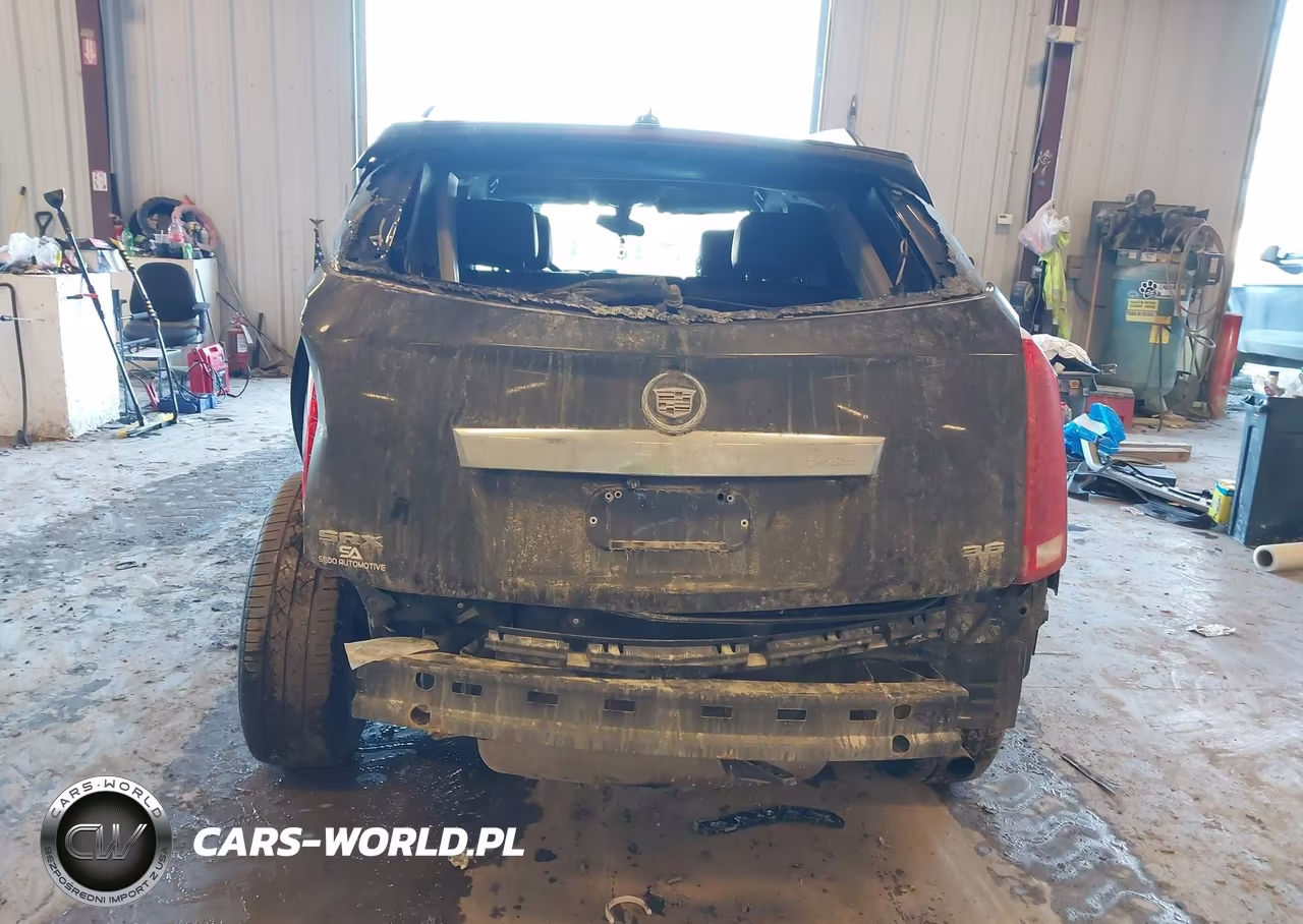 2015 Cadillac Srx Standard VIN:3GYFNAE37FS551641 - 6