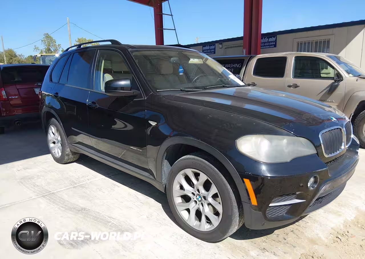 2011 BMW X5 xDrive35I-xDrive35I Premium-xDrive35I Sport Activity