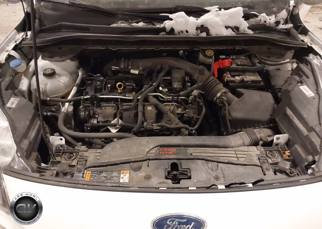 2021 Ford Escape Titanium VIN:1FMCU9J96MUA58031 - 10