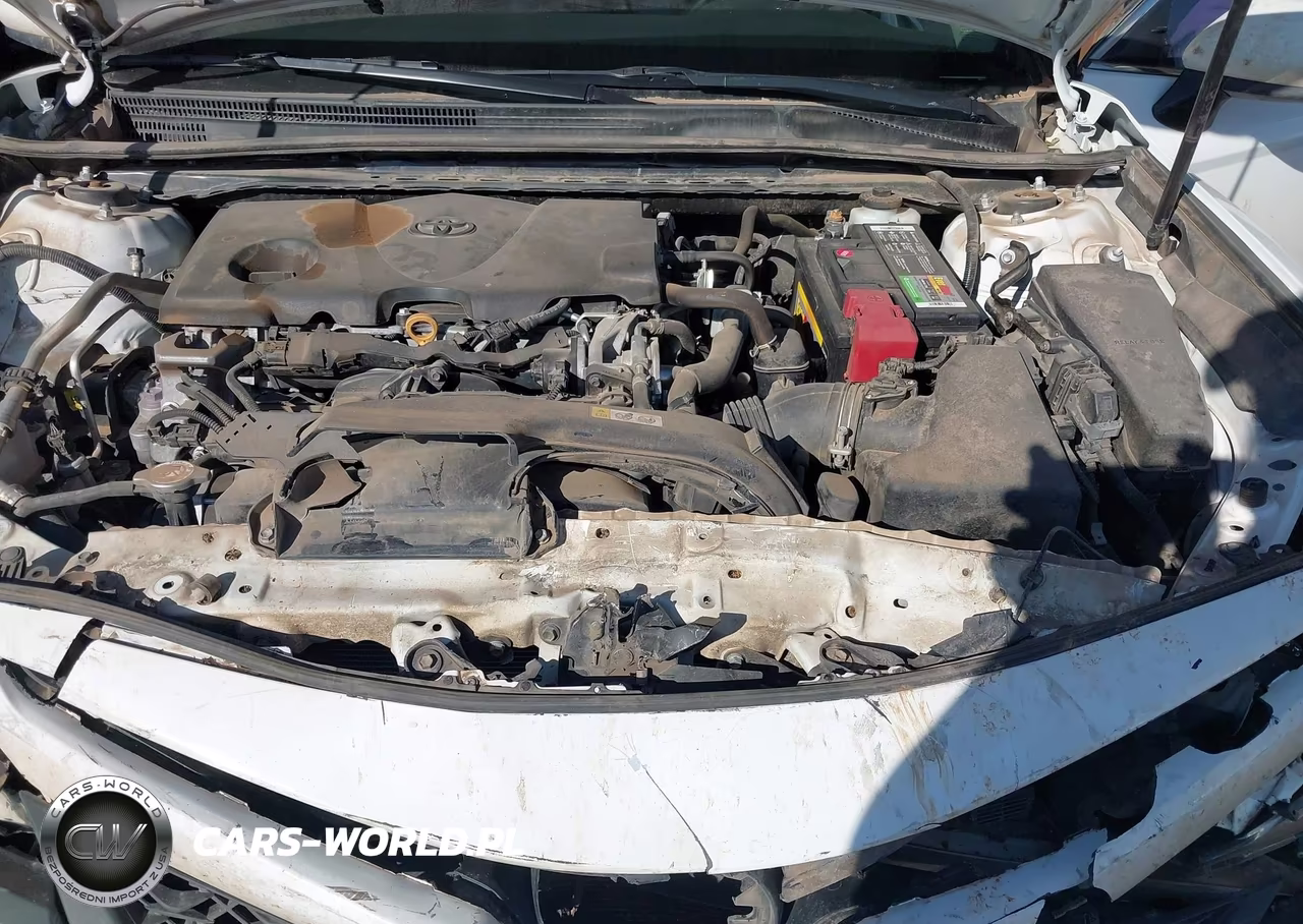 2019 Toyota Camry Se VIN:4T1B11HK0KU808180 - 10