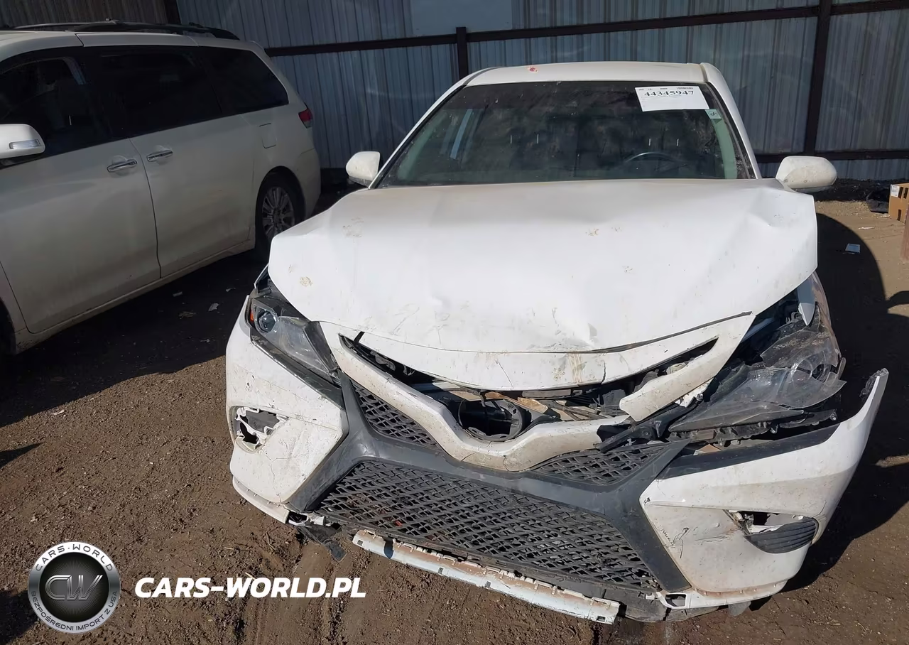 2019 Toyota Camry Se VIN:4T1B11HK0KU808180 - 12