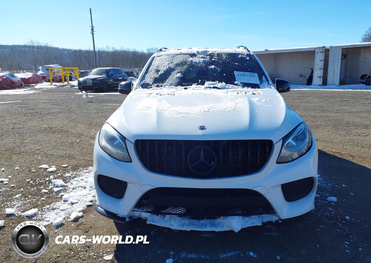 2018 Mercedes-Benz Amg Gle 43 4Matic VIN:4JGDA6EB6JB080966 - 13