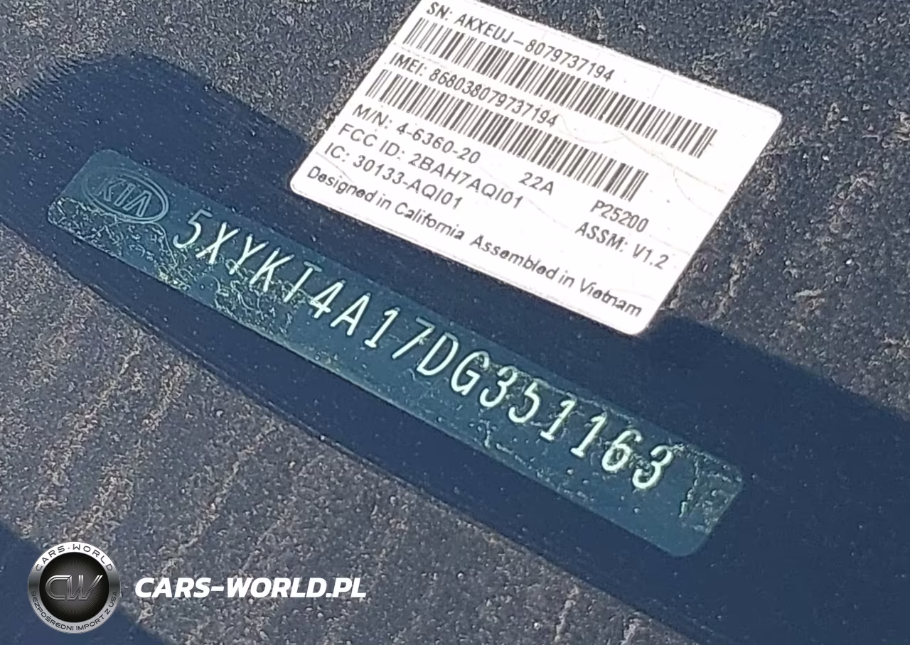2013 Kia Sorento Lx VIN:5XYKT4A17DG351163 - 12
