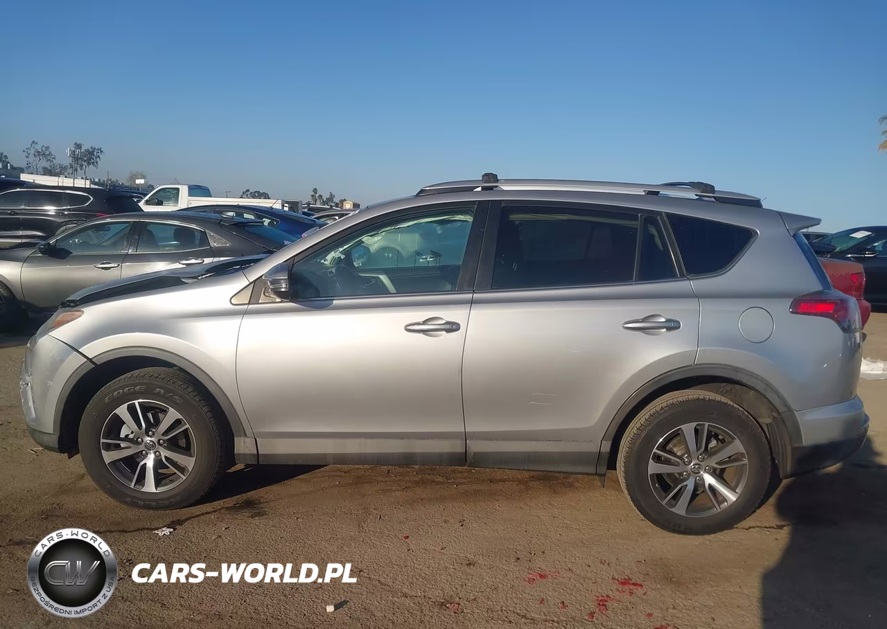 2016 Toyota Rav4 Xle VIN:2T3WFREV4GW292842 - 13