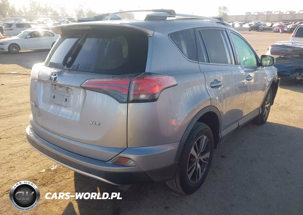 2016 Toyota Rav4 Xle VIN:2T3WFREV4GW292842 - 4