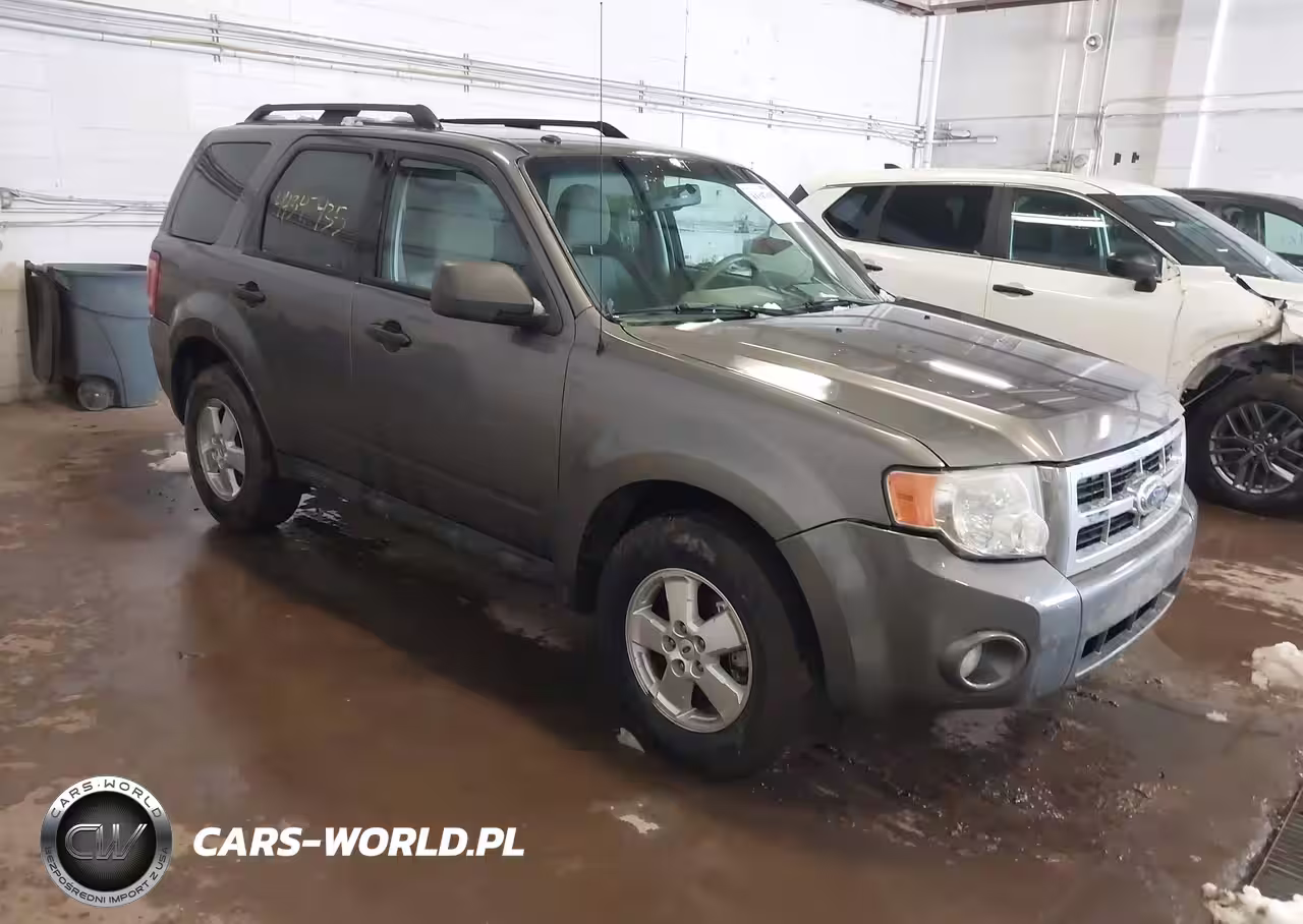 2010 Ford Escape Xlt