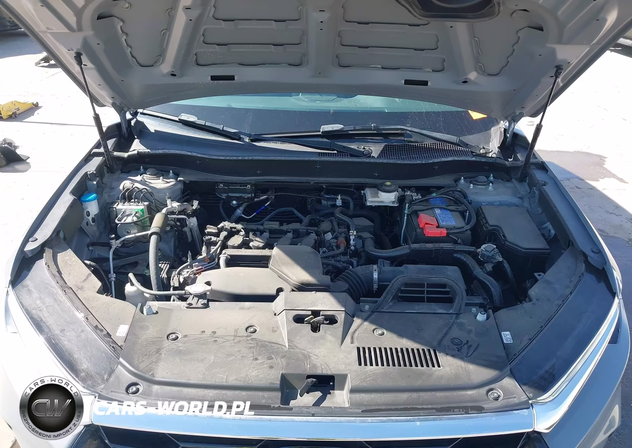 2024 Honda Cr-V Ex 2Wd VIN:5J6RS3H48RL008508 - 10