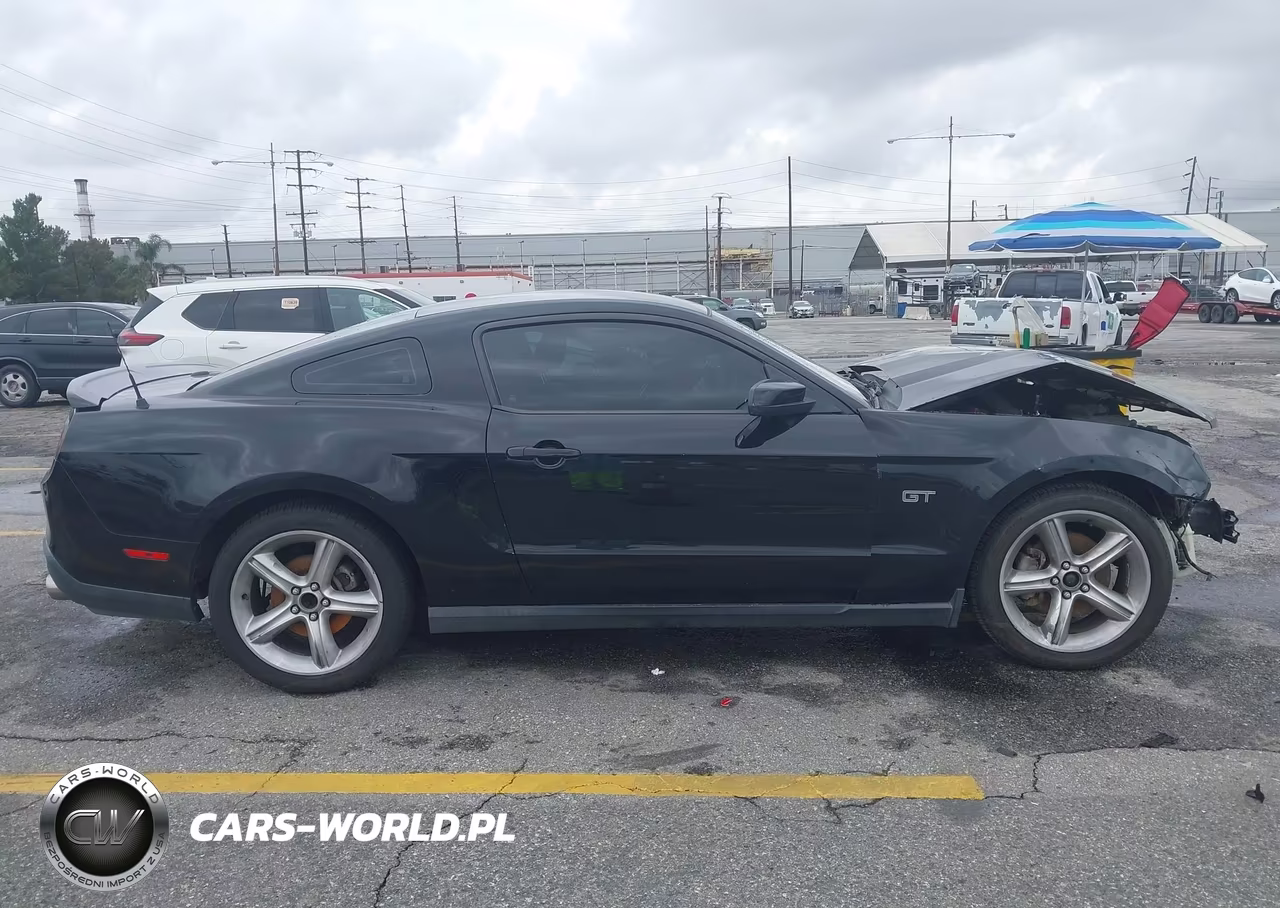 2010 Ford Mustang Gt-Gt Premium VIN:1ZVBP8CH6A5171020 - 14