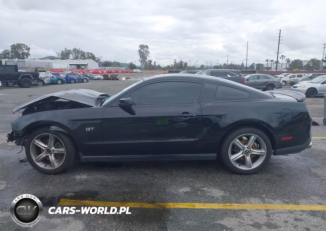 2010 Ford Mustang Gt-Gt Premium VIN:1ZVBP8CH6A5171020 - 15