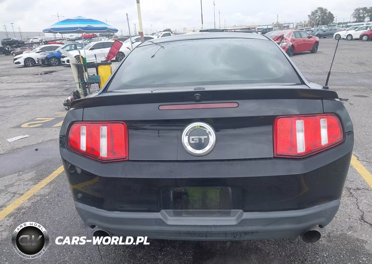 2010 Ford Mustang Gt-Gt Premium VIN:1ZVBP8CH6A5171020 - 17