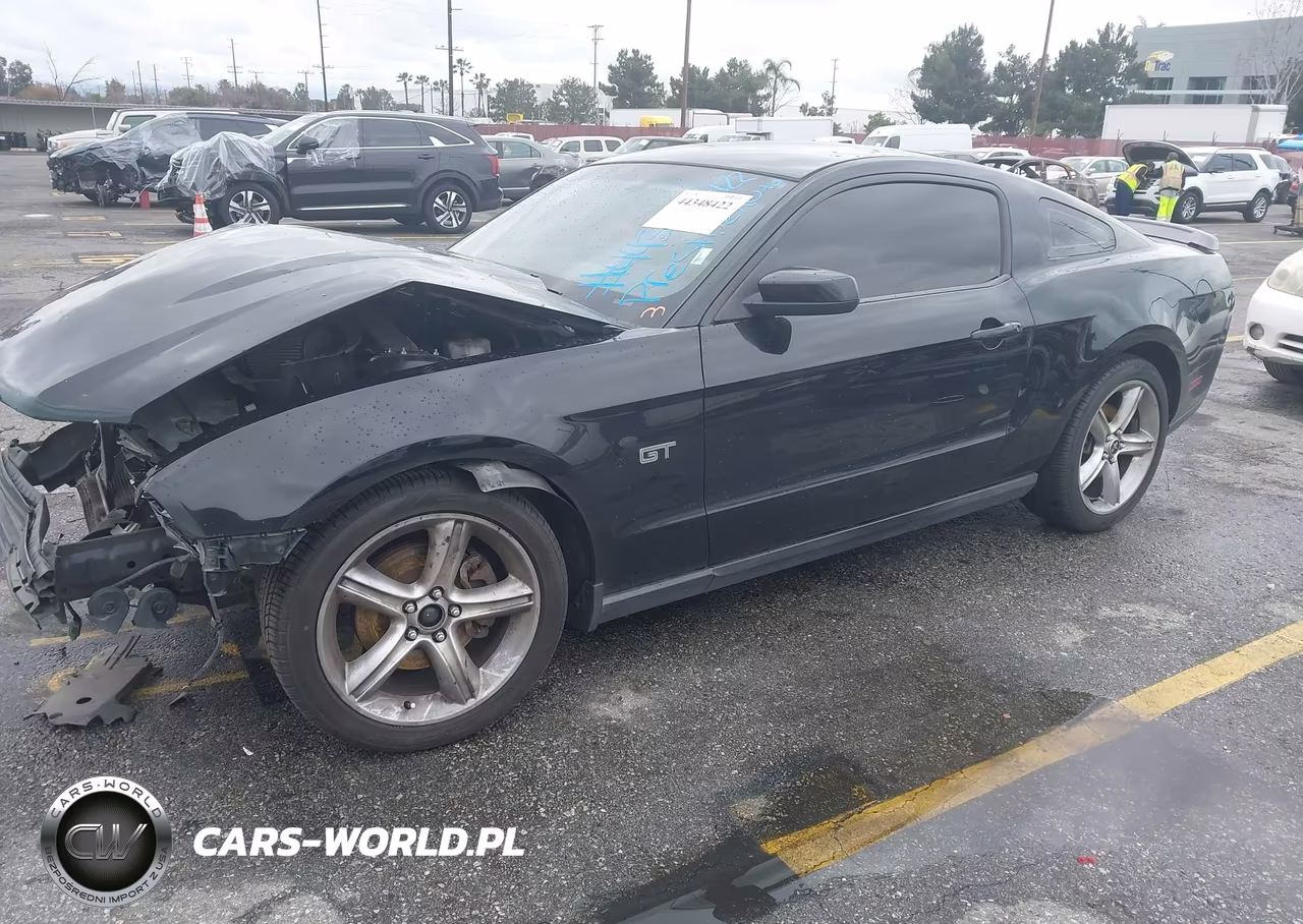 2010 Ford Mustang Gt-Gt Premium VIN:1ZVBP8CH6A5171020 - 2